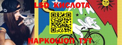 винт Донецк