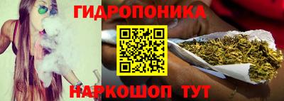 винт Донецк