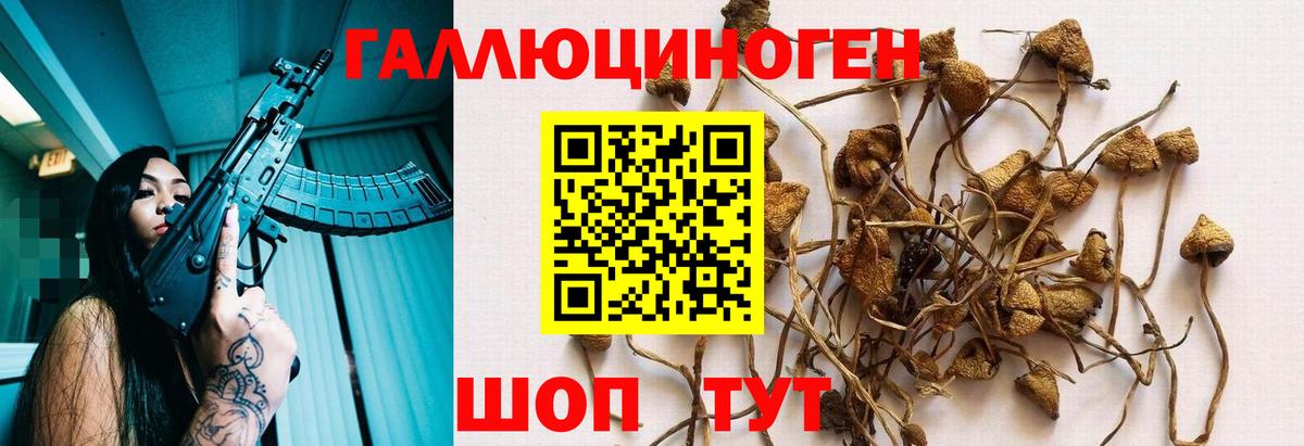 купить наркотики цена  Вход с VPN  Назарово  Псилоцибиновые грибы Magic Shrooms 